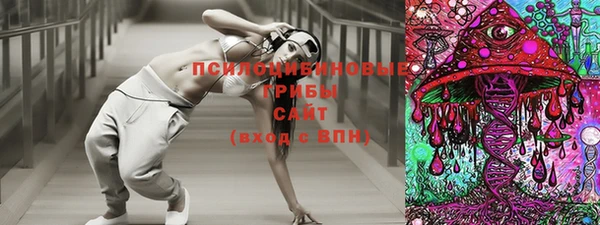 гидропоника Новозыбков